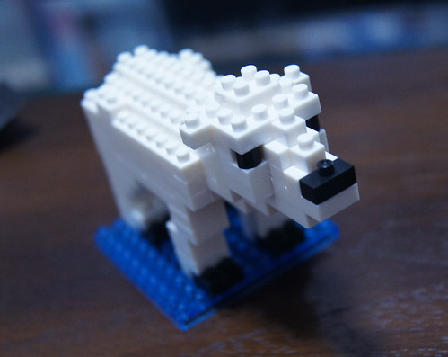 polar bear 10