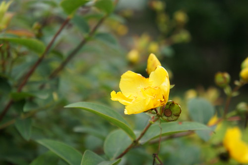 DSC00298
