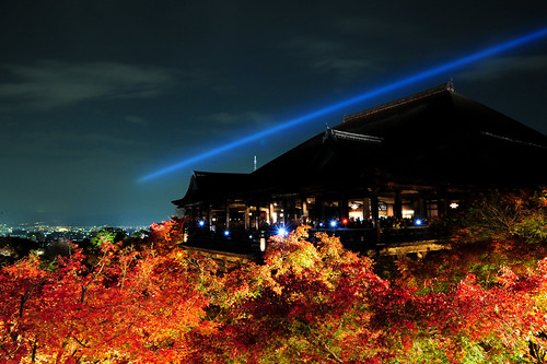 京都●清水寺鑽石夜楓