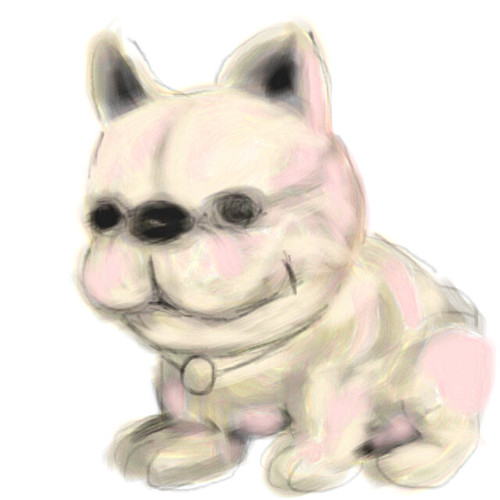 パグ