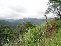 DSCN1674