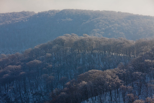 2011/02/20 Lake Towada @Shimeitei