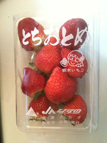苺　いちご　イチゴ