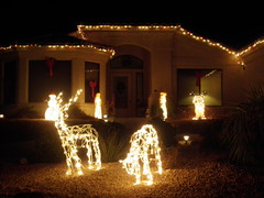 december 2010 022