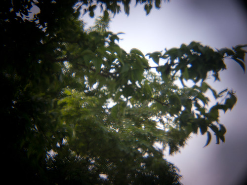 P1000767.jpg