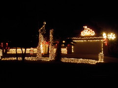 december 2010 020