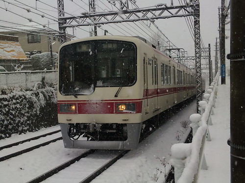 Snowy Shintetsu