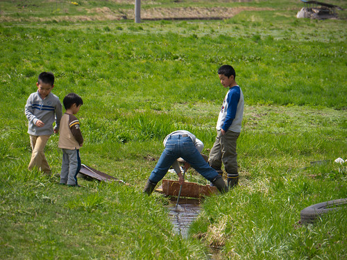 P1000535.jpg