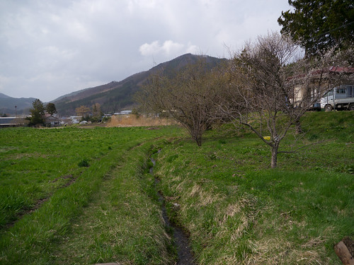 P1000556.jpg