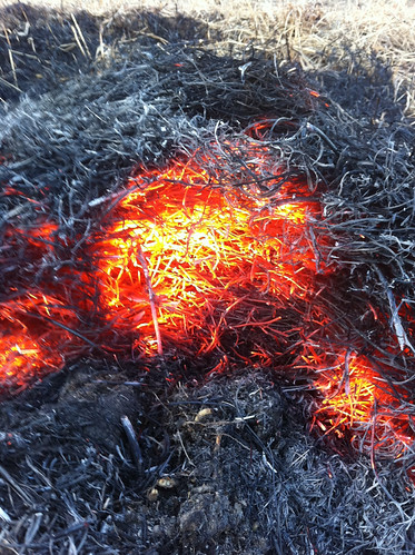 野焼き