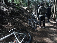金比羅尾根2_04242011