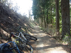 日ノ出山へ。