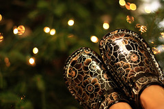 Image Hosted by http://www.flickr.com