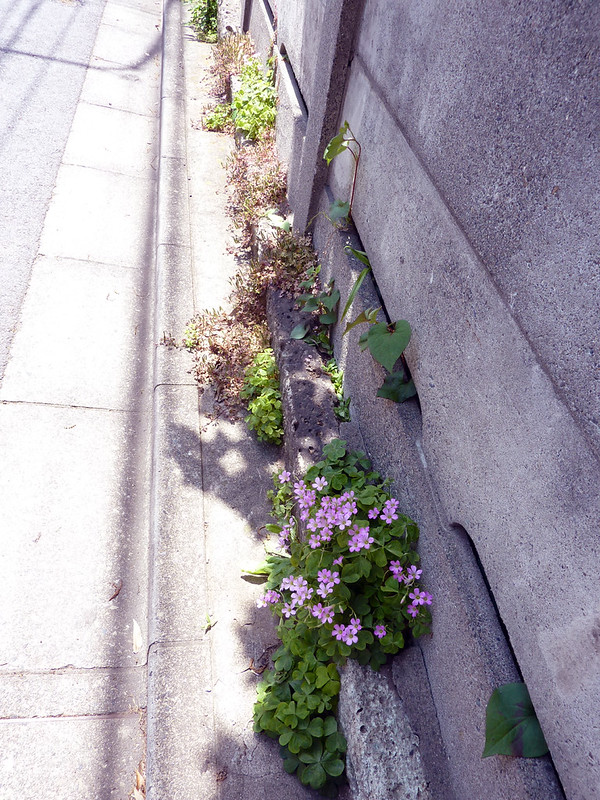 20120516_2