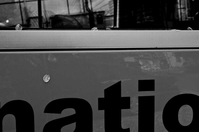 school bus