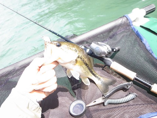 2012-05-12 04:53:41 +0000