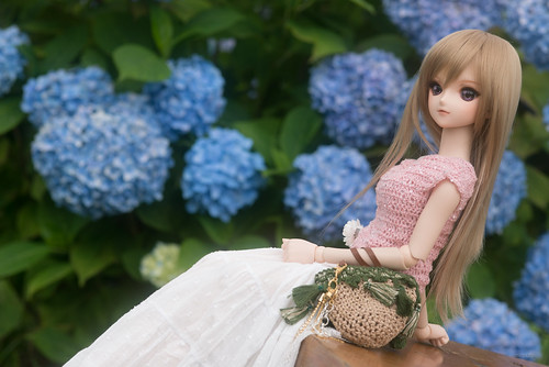 aoko01