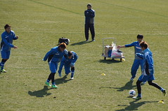 DSC03175 (1)