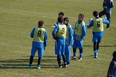 DSC02185 (1)