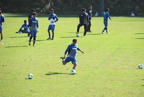 DSC00955 (1)