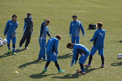 DSC03232 (1)