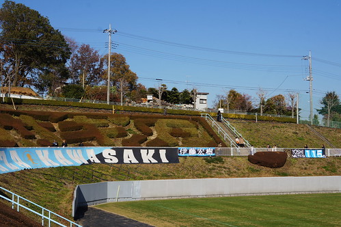 DSC06023 (1)