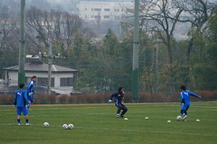 DSC04493 (1)