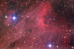 IC-5070-the "Pelican Nebula"