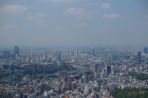 IMGP6531.JPG