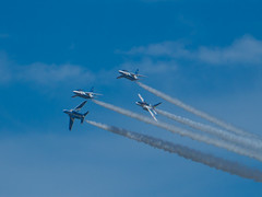 P1010178.jpg
