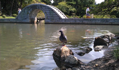 IMAG0541