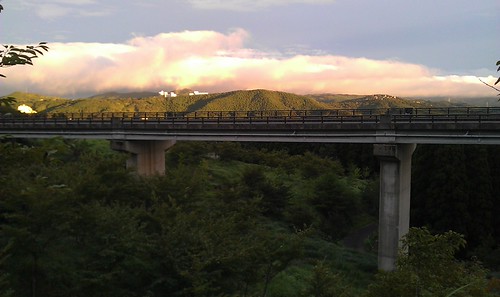 IMAG0309
