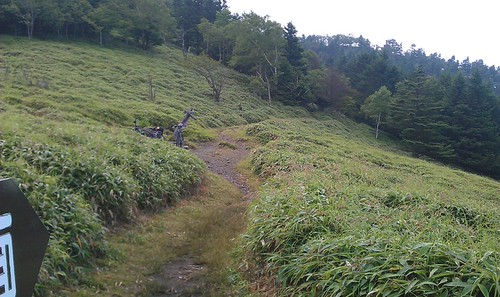 IMAG0220