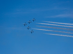 P1010135.jpg