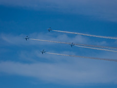 P1010161.jpg