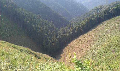 IMAG0225