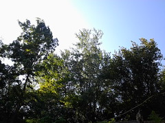 переэксп.пейзаж