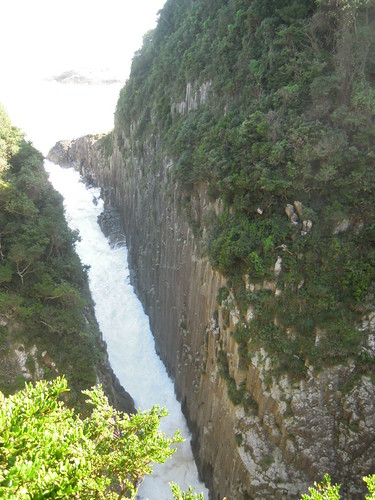 DSCN2361