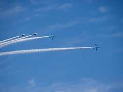 P1010204.jpg