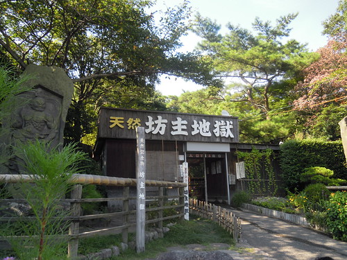 DSCN2442