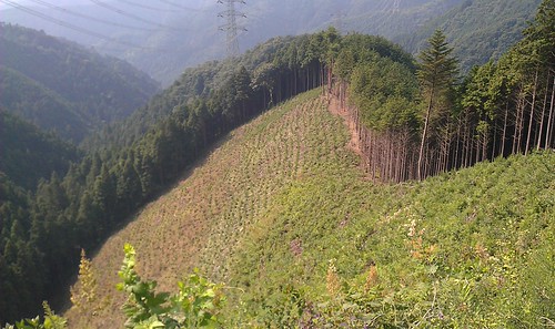 IMAG0226