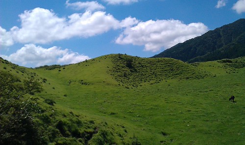 IMAG0389