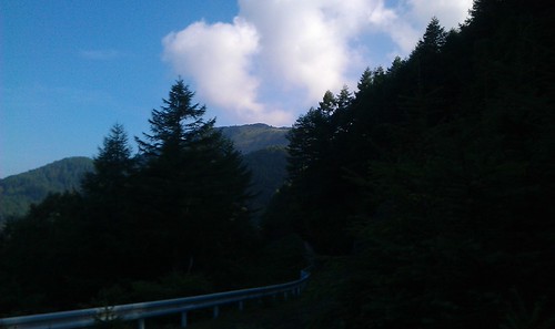 IMAG0206