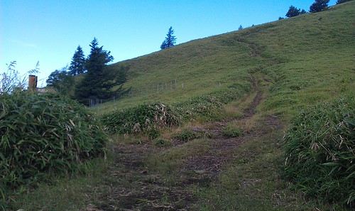 IMAG0221