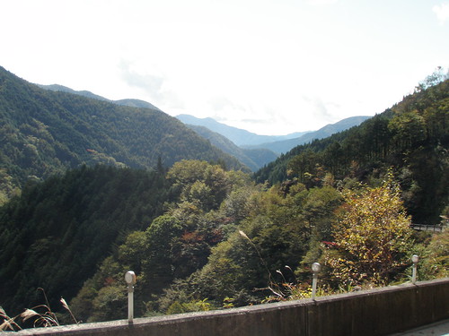 yokozus 001