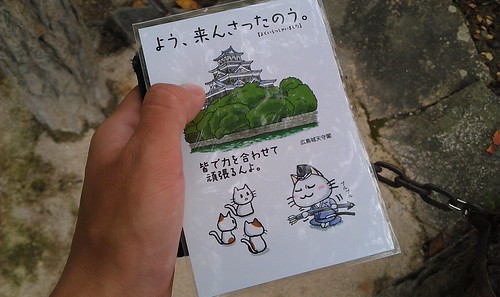 IMAG0532