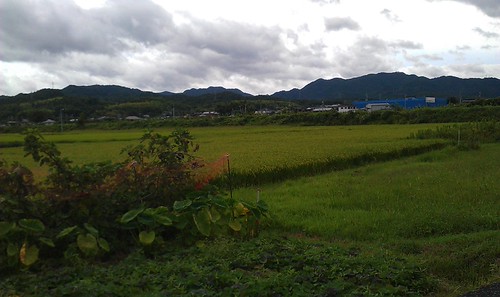 IMAG0425