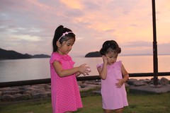 IMG_2851.JPG