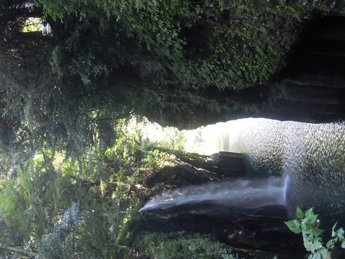 DSCN2384
