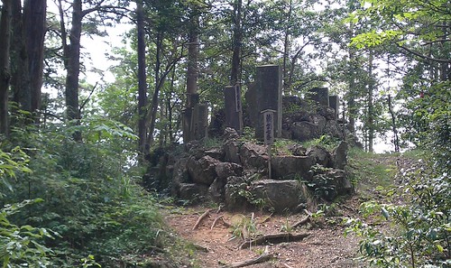 IMAG0260